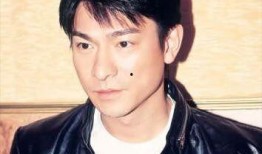 娱乐圈吃瓜刘德华,娱乐圈吃瓜界的常青树，揭秘他的瓜田传奇